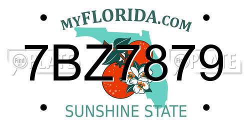7BZ7879 Florida License Plate