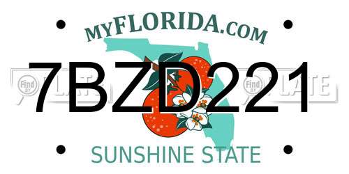 7BZD221 Florida License Plate