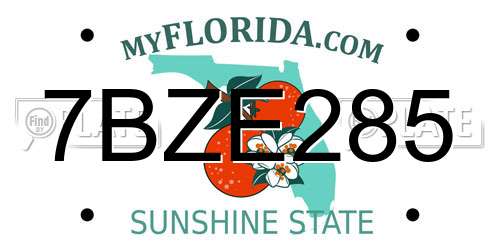 7BZE285 Florida License Plate