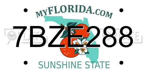 7BZE288 Florida License Plate