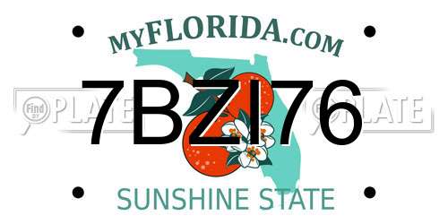 7BZI76 Florida License Plate
