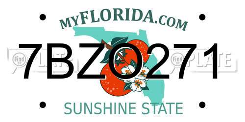 7BZO271 Florida License Plate