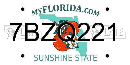 7BZQ221 Florida License Plate