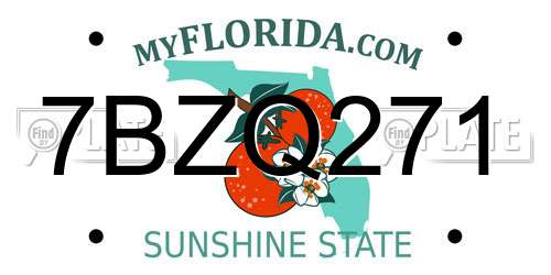 7BZQ271 Florida License Plate