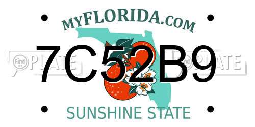 7C52B9 Florida License Plate