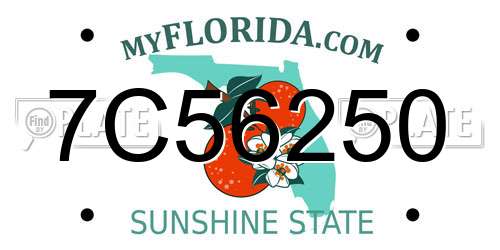 7C56250 Florida License Plate