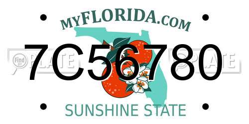 7C56780 Florida License Plate