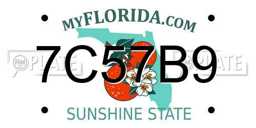 7C57B9 Florida License Plate