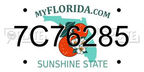7C76285 Florida License Plate