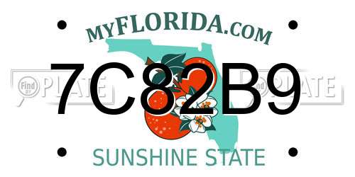 7C82B9 Florida License Plate