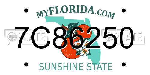 7C86250 Florida License Plate