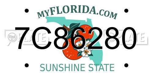 7C86280 Florida License Plate