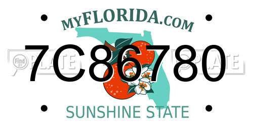 7C86780 Florida License Plate