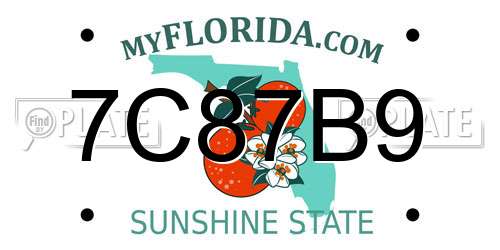 7C87B9 Florida License Plate