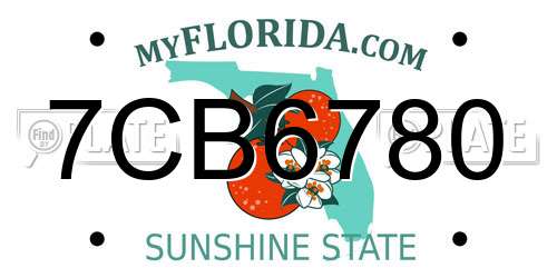 7CB6780 Florida License Plate