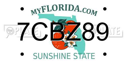 7CBZ89 Florida License Plate