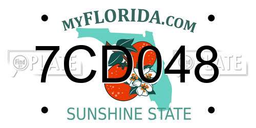 7CD048 Florida License Plate