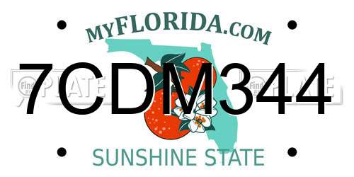 7CDM344 Florida License Plate