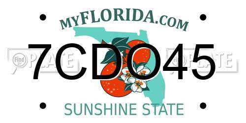 7CDO45 Florida License Plate