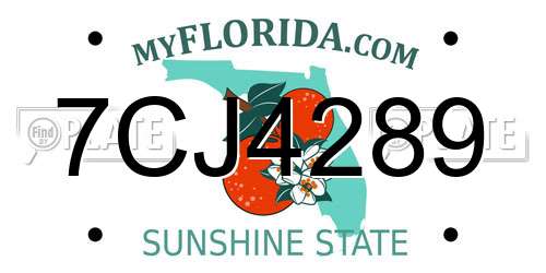 7CJ4289 Florida License Plate