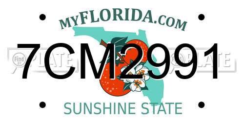 7CM2991 Florida License Plate