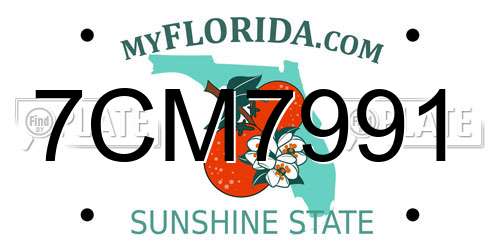 7CM7991 Florida License Plate