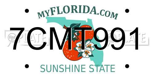 7CMT991 Florida License Plate