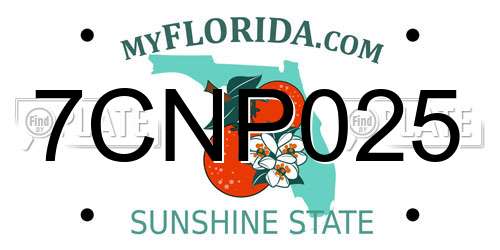 7CNP025 Florida License Plate