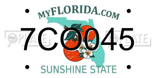 7CO045 Florida License Plate