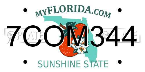 7COM344 Florida License Plate