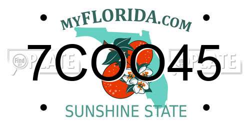 7COO45 Florida License Plate