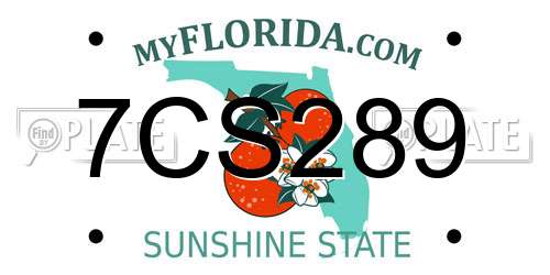 7CS289 Florida License Plate