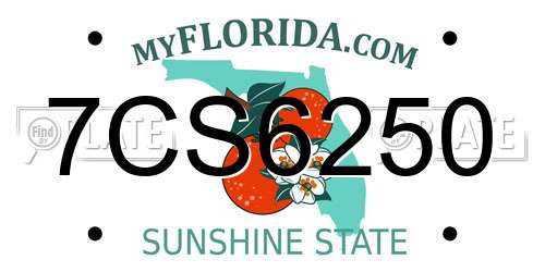 7CS6250 Florida License Plate