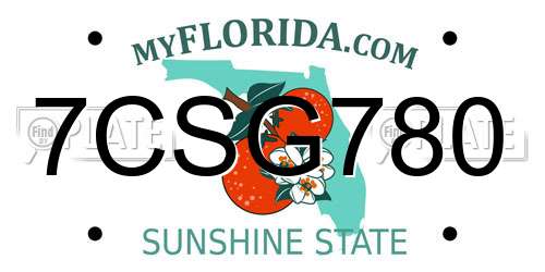 7CSG780 Florida License Plate