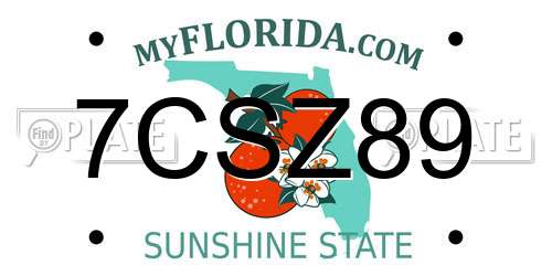 7CSZ89 Florida License Plate
