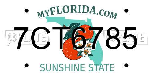7CT6785 Florida License Plate