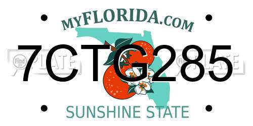 7CTG285 Florida License Plate