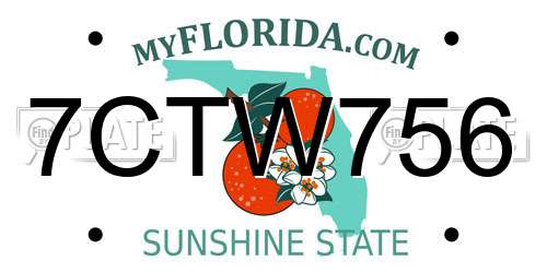 7CTW756 Florida License Plate