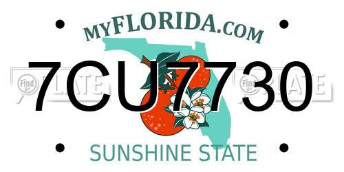 7CU7730 Florida License Plate