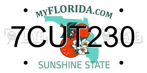 7CUT230 Florida License Plate