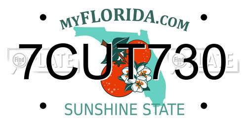 7CUT730 Florida License Plate