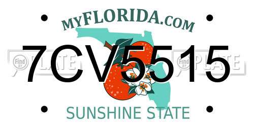 7CV5515 Florida License Plate