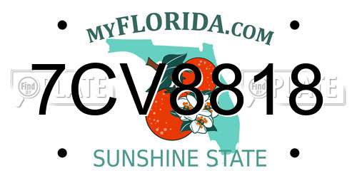 7CV8818 Florida License Plate