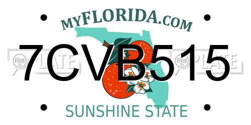 7CVB515 Florida License Plate