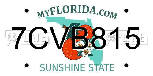 7CVB815 Florida License Plate