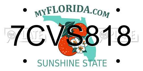 7CVS818 Florida License Plate