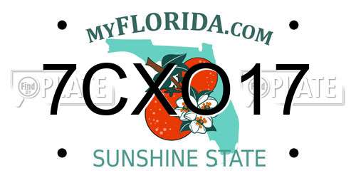 7CXO17 Florida License Plate