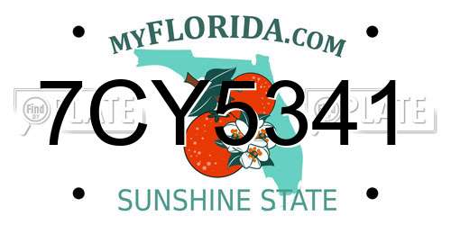 7CY5341 Florida License Plate