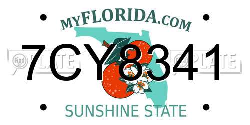 7CY8341 Florida License Plate