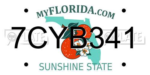 7CYB341 Florida License Plate